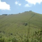 A stunning view of Chyulu Hills National Park, showcasing its diverse landscapes and unique wildlife