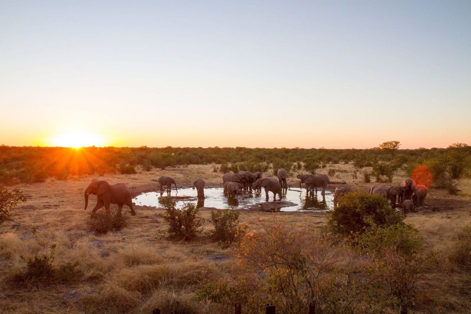 Budget Safari Packages