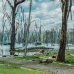 Aerial view of Lake Nakuru National Park, Kenya, showcasing its picturesque landscape and diverse wildlife