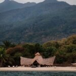 Aerial view of Mahale Mountains National Park surrounded by lush greenery and bordered by Lake Tanganyika in Tanzania