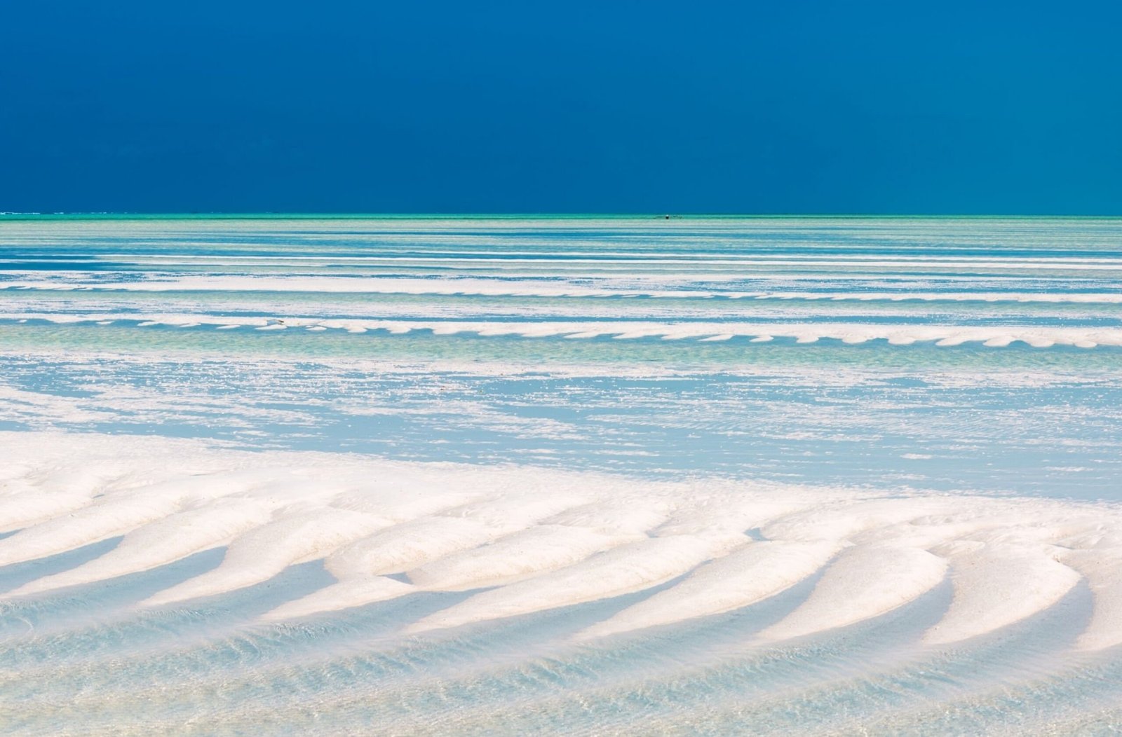 The Zest From Zanzibar