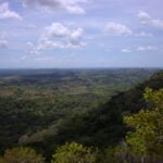 Aerial view of lush green landscapes and forests in Shimba Hills National Reserve