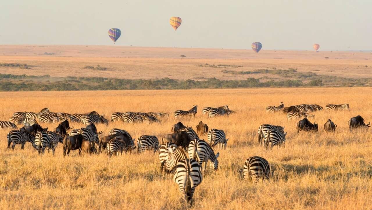 The Great Migration across the Masai Mara plains