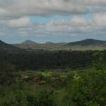 A breathtaking landscape view of Tsavo West National Park with lush greenery and wildlife.