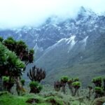 Aerial view of Rwenzori Mountains National Park, showcasing its lush greenery and snow-capped peaks